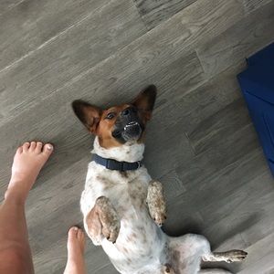 Meet your Posher, Hailey